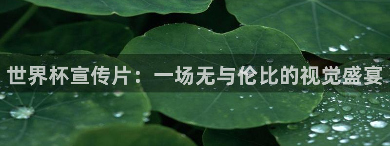 2026足球世界杯赛程时间表:世界杯宣传片:一场无与伦比的视觉盛宴