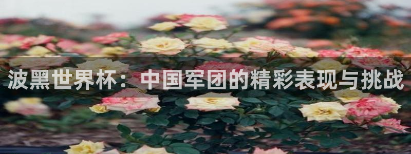 世界杯预选赛赛程表:波黑世界杯:中国军团的精彩表现与挑战