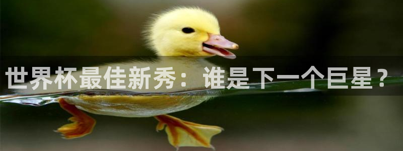 世界杯足球赛2026赛程时间:世界杯最佳新秀:谁是下一个巨星?
