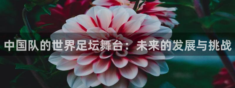 世界杯亚洲预选赛18强赛程:中国队的世界足坛舞台:未来的发展与挑战