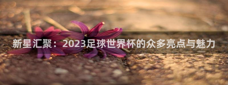 世界杯预选赛欧洲赛区积分榜:新星汇聚:2023足球世界杯的众多亮点与魅力