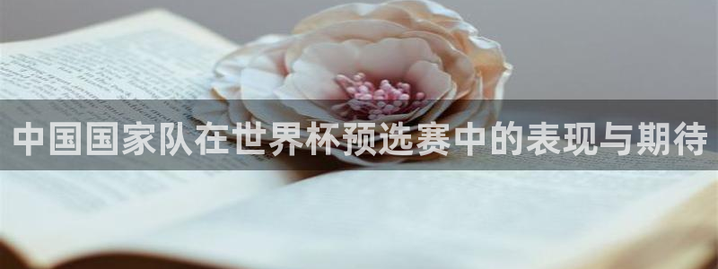 足球比分直播世界杯:中国国家队在世界杯预选赛中的表现与期待