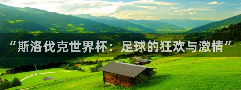 2026世界杯预选赛:“斯洛伐克世界杯:足球的狂欢与激情”